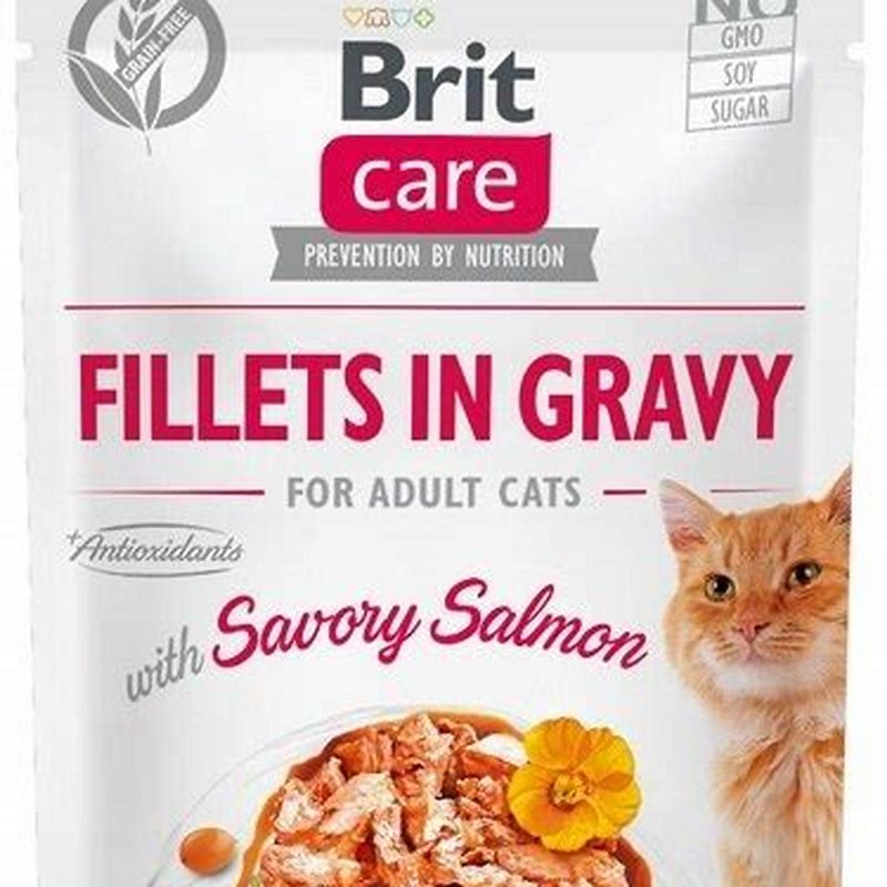 Brit Care Cat Fillets In Gravy Savory Salmon 85G - imagine produs