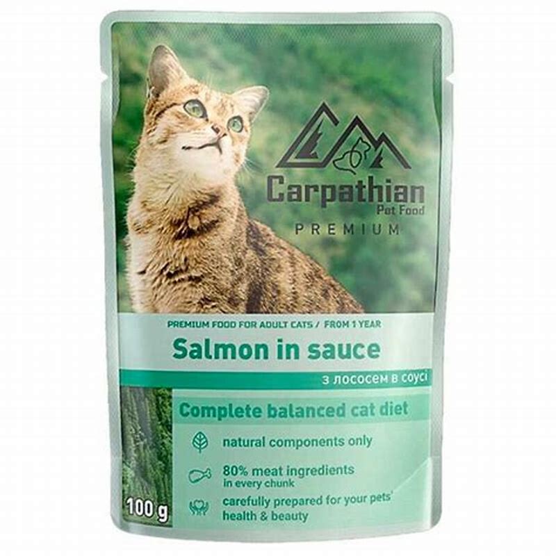 Carpathian Salmon In Sauce - imagine produs