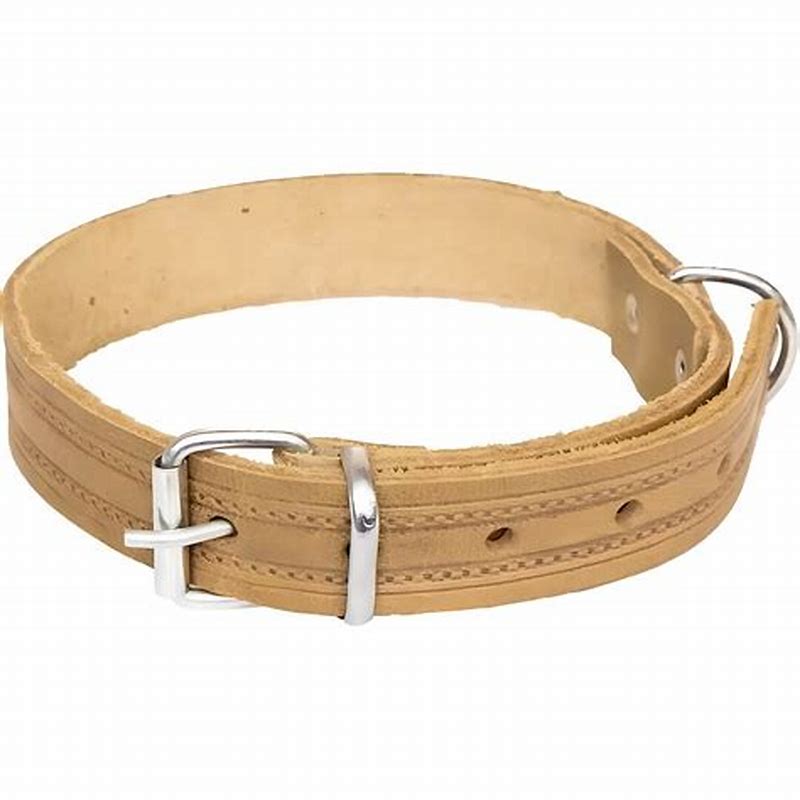 Zgardă din piele căptușită Gloria – rezistentă și confortabilă, pentru câini orange 40 cm - imagine produs