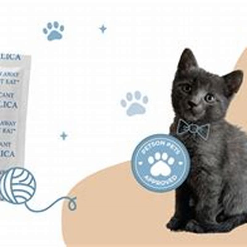 Petson desicant pet feeder - imagine produs