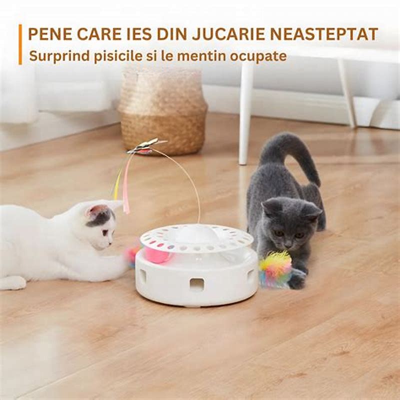 Jucarie multifunctionala pisici - imagine produs