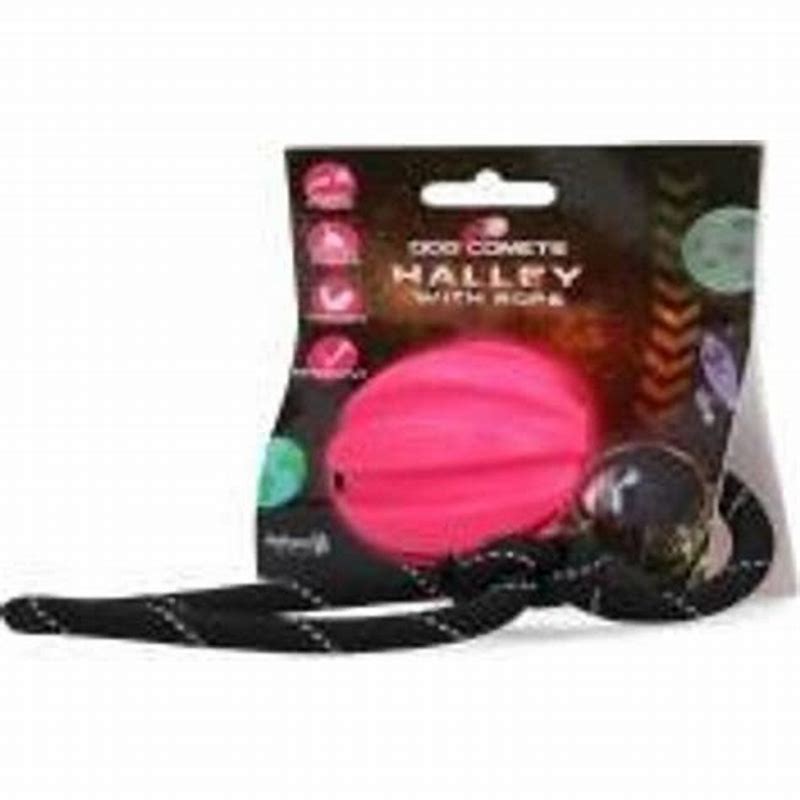 Dog commets halley with rope - imagine produs