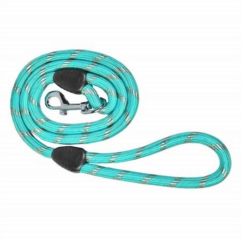 Lesa Turcoaz Flexigrip 2M - imagine produs