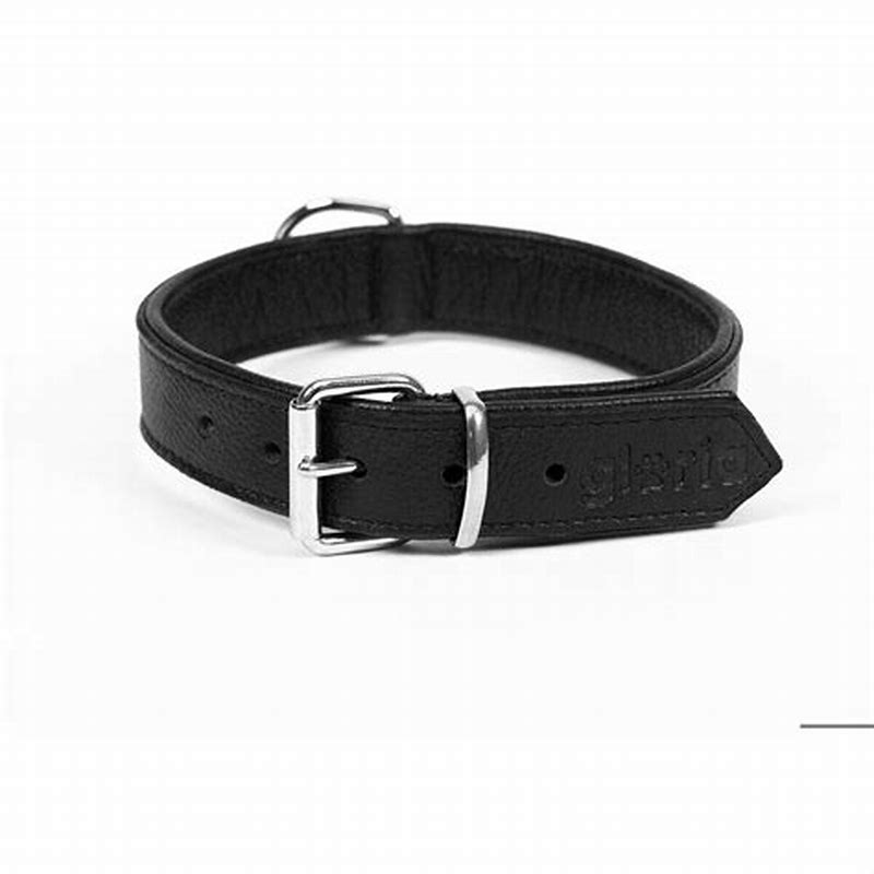 Gloria Zgarda piele ecologica pentru caini 60 cmx3 cm - imagine produs