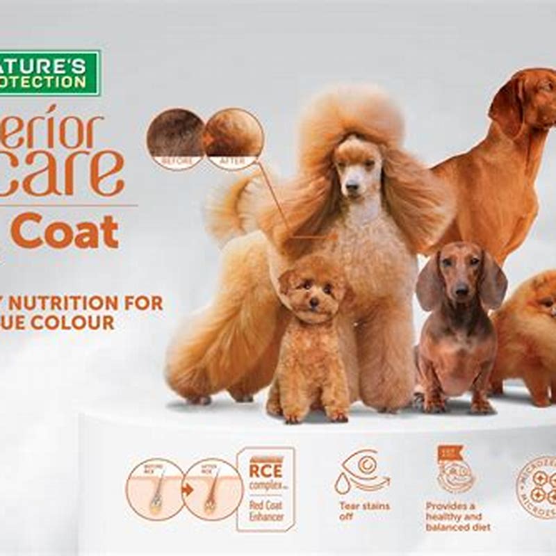 Nature's Protection Lifestyle Healthy skin and coat recompense cu somon 160 g - imagine produs
