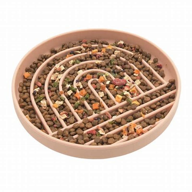 Slow Feeder Roz - imagine produs
