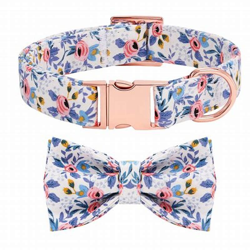 Cheerhunting zgarda pentru catei cu papion floare albastra M - imagine produs