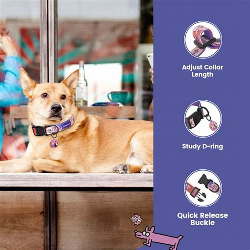 BOSS Dog Essentials zgarda pentru caini marime XS-S - imagine produs