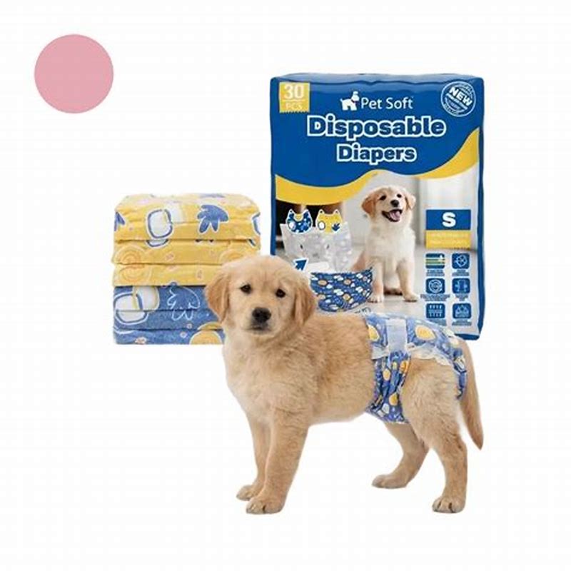 Pampers pentru caini marime M - imagine produs