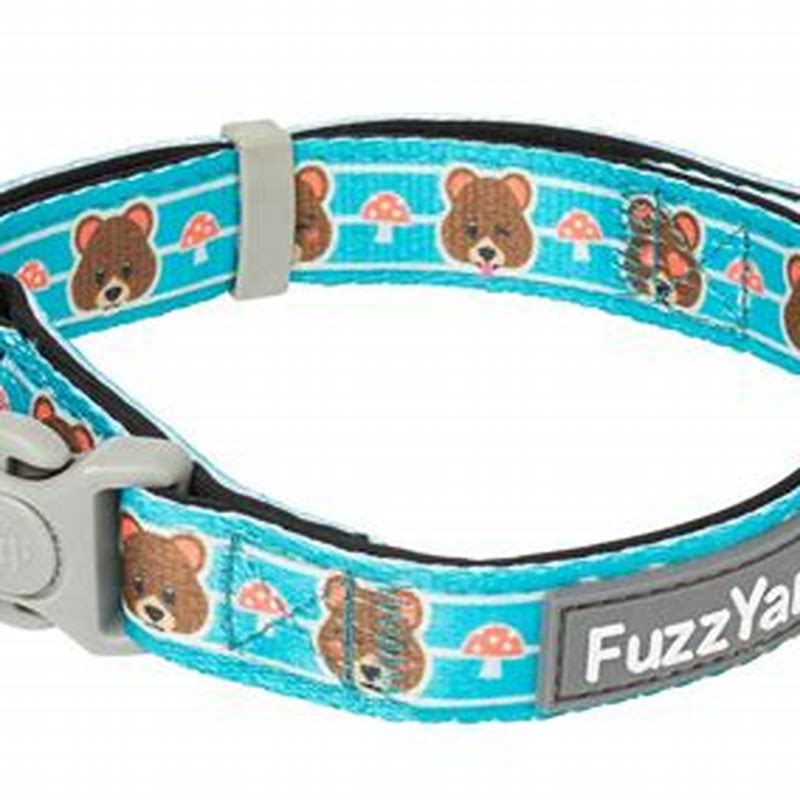 FuzzYard Neoprene Collar - Fuzz Bear M - vedere frontală