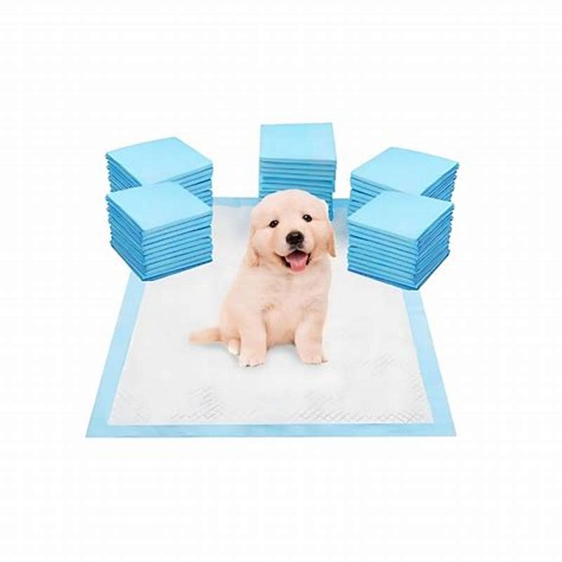Pad-uri pentru caini-XL-50 buc-60x60cm - imagine produs