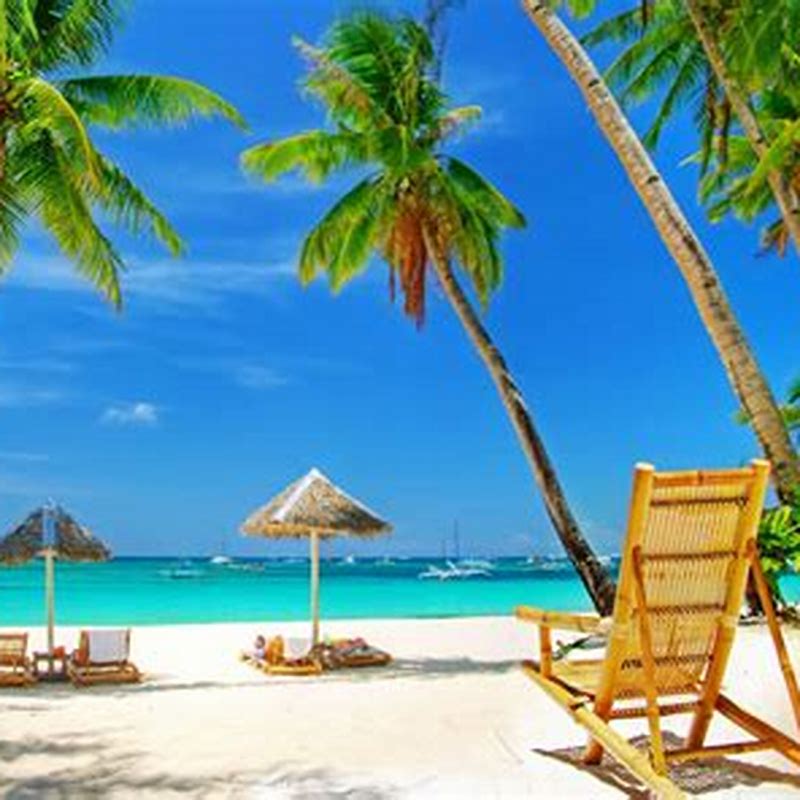 PLAY Tropical Paradise palmier - imagine produs
