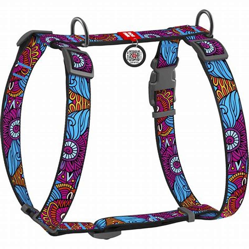 Waudog Ham nylon cu QR code Dreamcatcher 20mm50-80 cm - imagine produs
