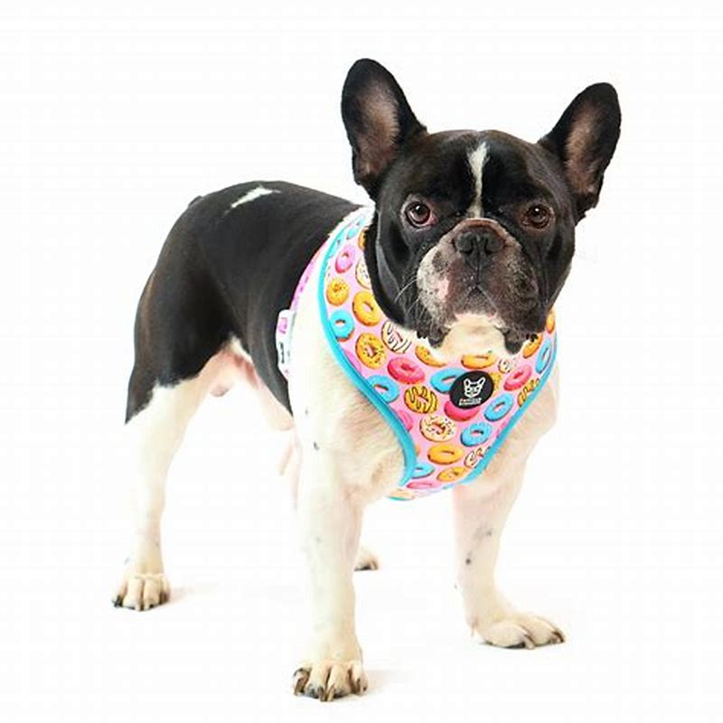 Famous Frenchie HAM REVERSIBIL - detalii ambalaj