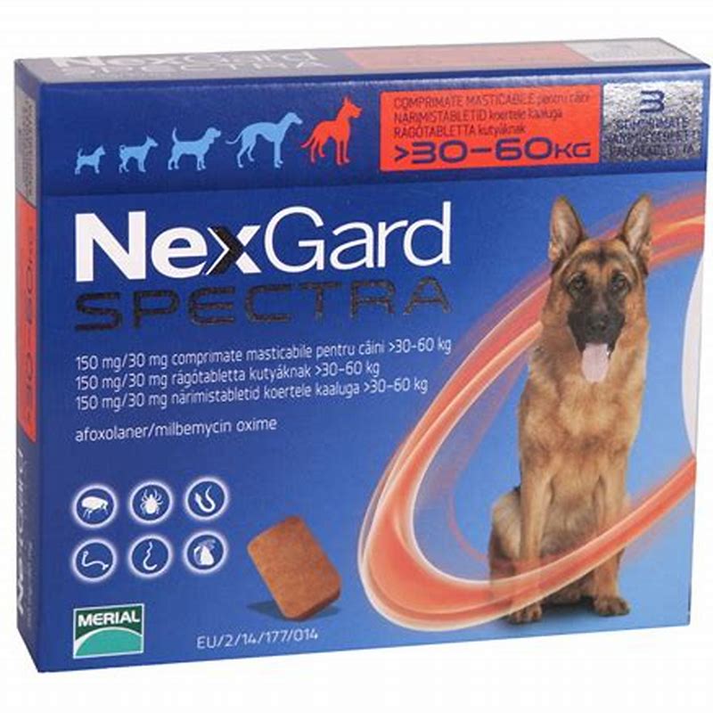 NexGard Spectra caini 30 kg - 60 kg - vedere frontală