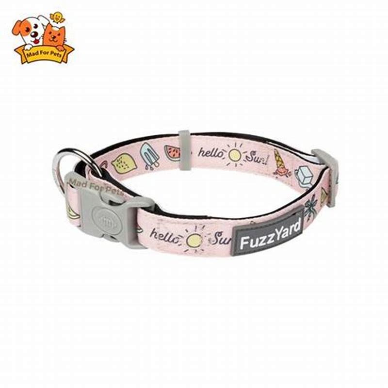 FuzzYard Neoprene Lead Hello Sun L - imagine produs