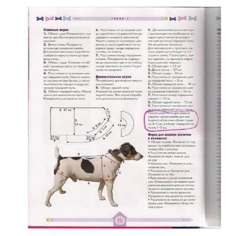 Haine pentru catei accesorii tip 1 - detalii ambalaj