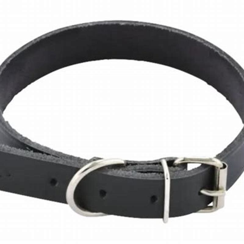 Zgardă din piele căptușită Gloria – rezistentă și confortabilă, pentru câini portocalie 30 cm - imagine produs
