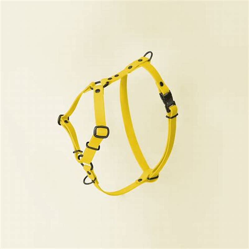 ALAN Imperméable Harnais Jaune T26 - imagine produs