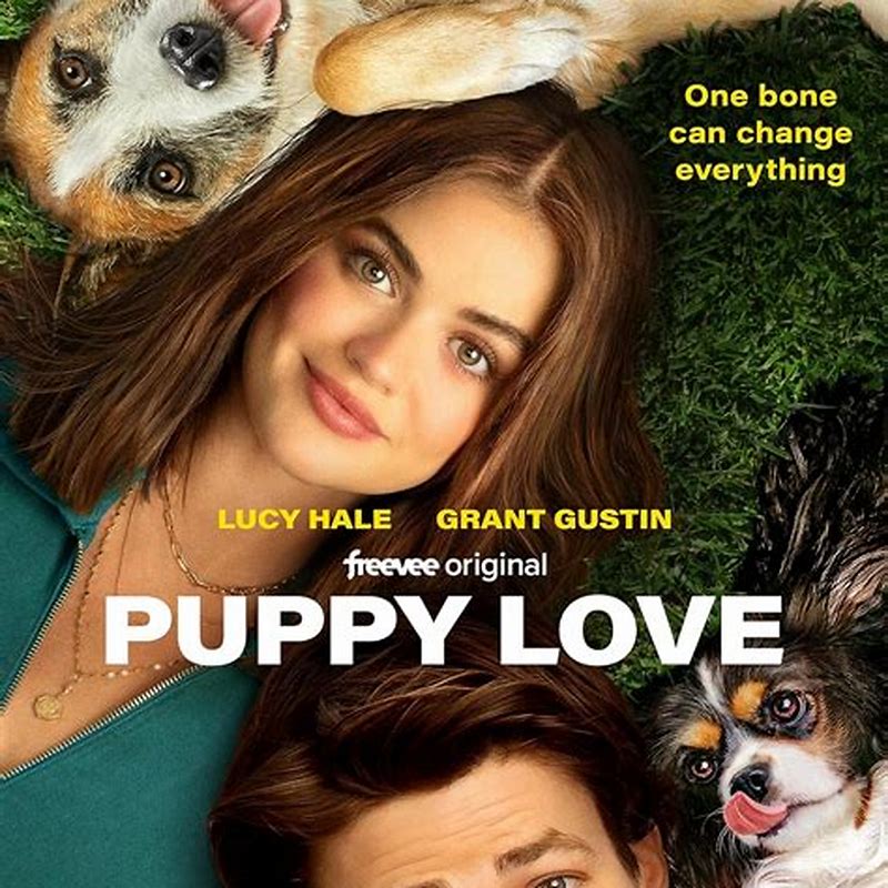 PLAY Puppy Love Rover's Roses - detalii ambalaj