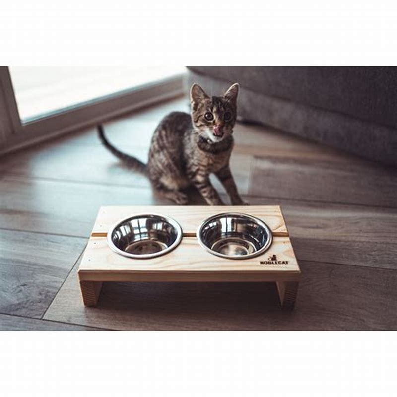Marvin cat bol pentru pisici - vedere frontală