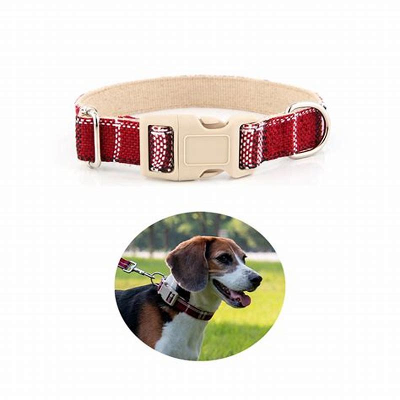 Zgarda animale de companie cu funda diverse culori - imagine produs