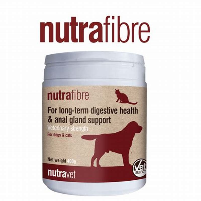 Nutricione FORTAENERGY 125 gr Supliment multivitaminic natural pentru câini și pisici - vedere frontală