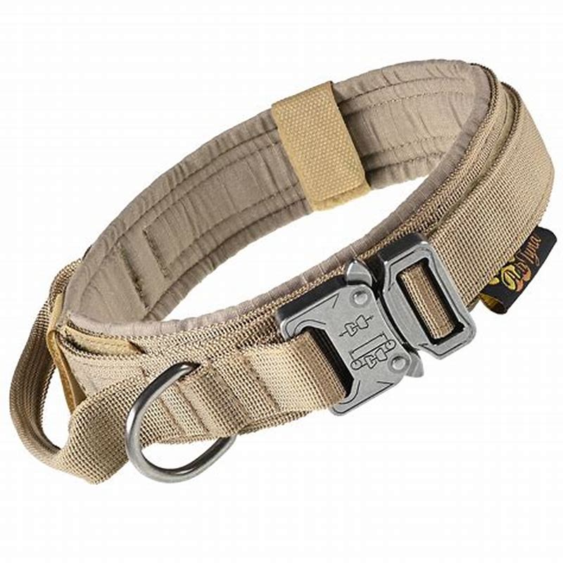 Zgarda pentru caini Webbing desert sky/ galben M-L - vedere frontală