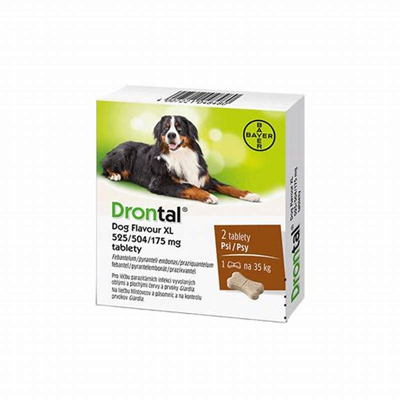 Drontal dog flavour XL x2 cp - vedere frontală
