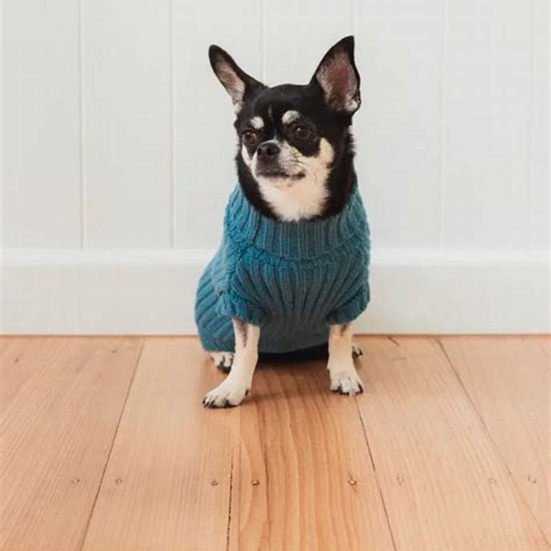 FuzzYard Life Knitted Sweater - French Blue 1 - vedere frontală