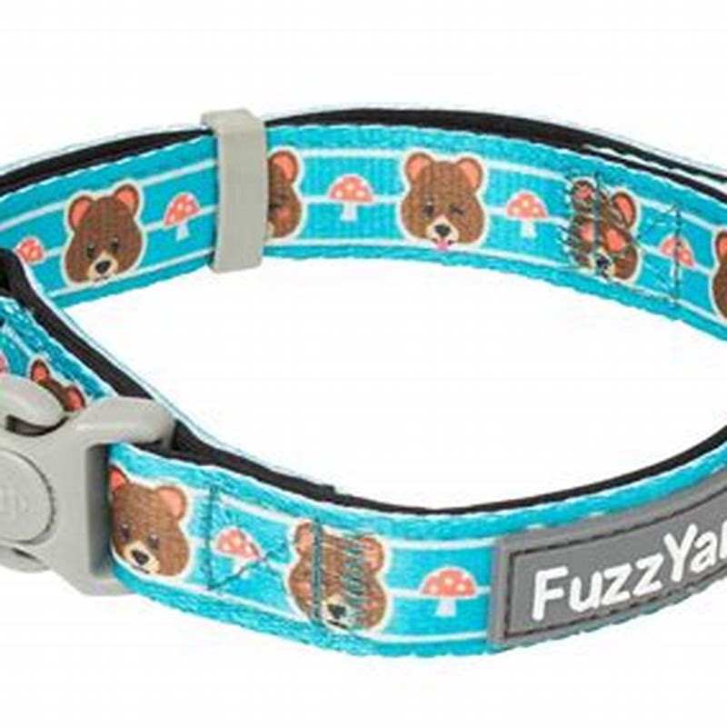 FuzzYard Neoprene Collar - Fuzz Bear M - imagine produs