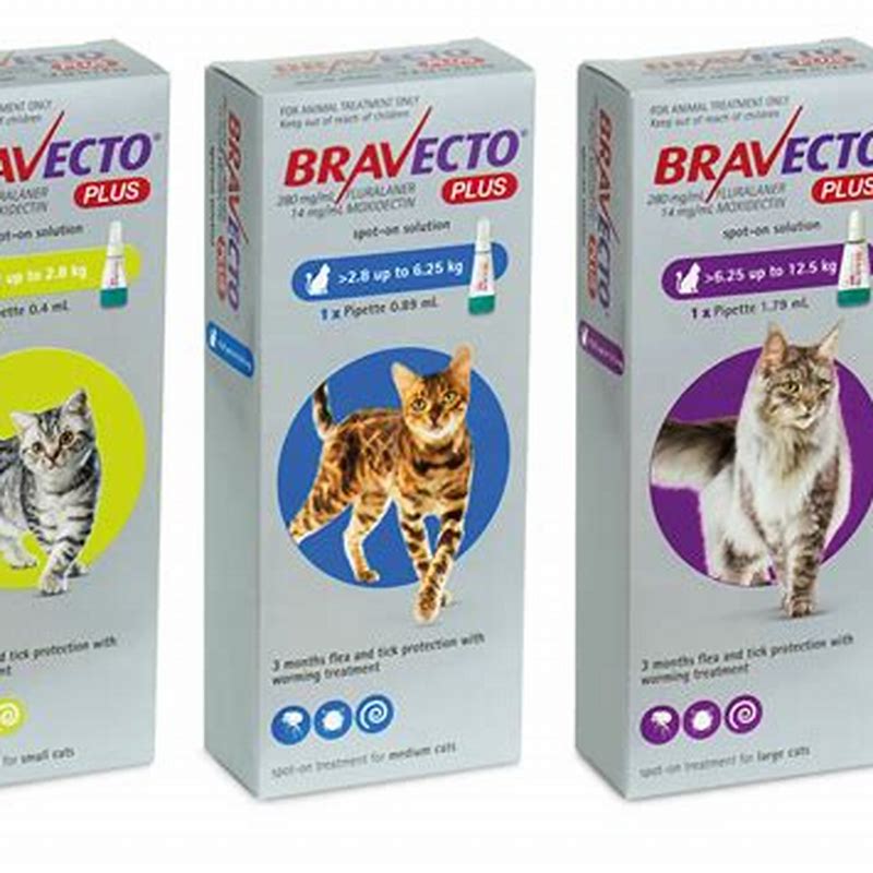 Bravecto Plus cats 112.5 mg x 1 pip - imagine produs