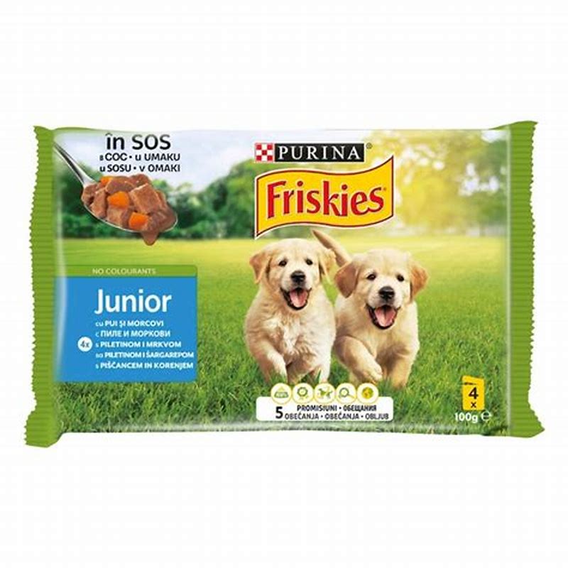 WISE Dog Junior hrana umeda pentru caini pui in sos 100 g - imagine produs