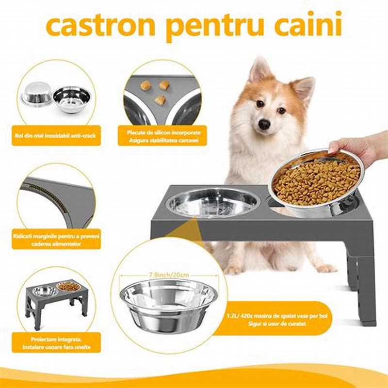Bol otel pentru animale cu picioruse - vedere frontală
