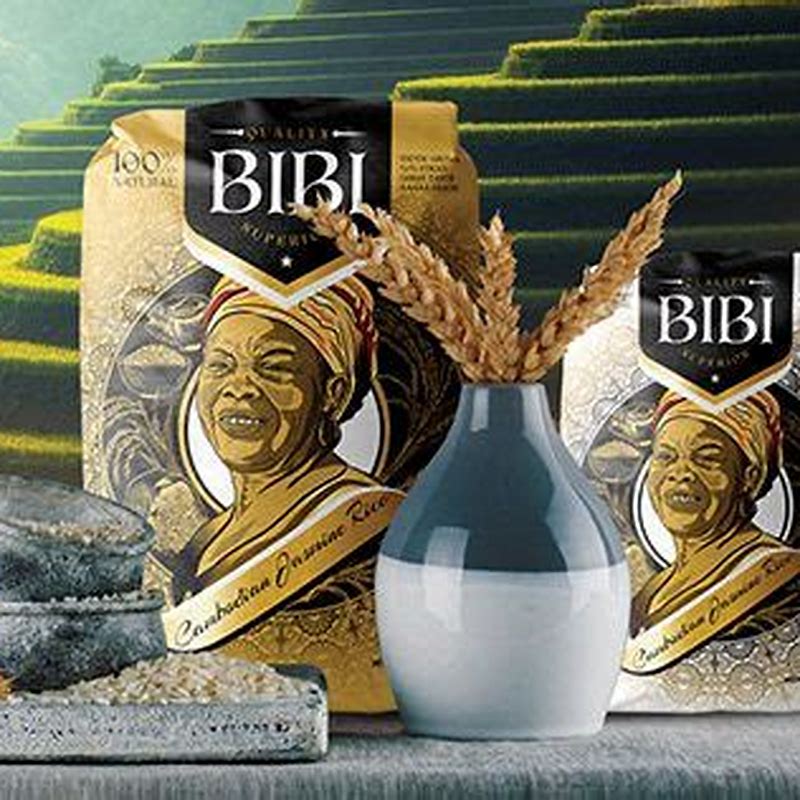 Perie LIZ'N BIBI MaxiPin alungita - detalii ambalaj