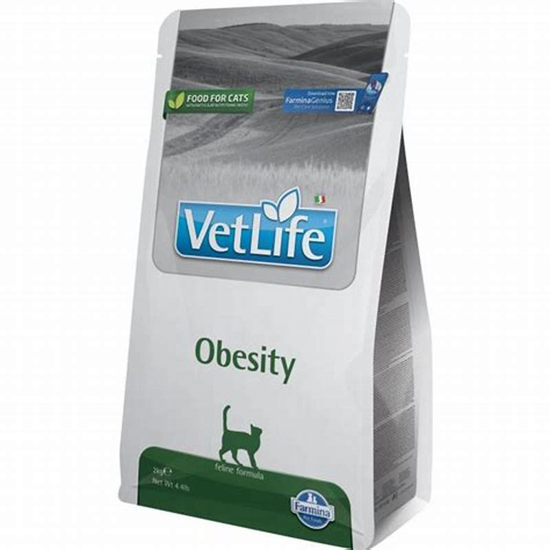 Fred Vet Obesity 390 g - vedere frontală