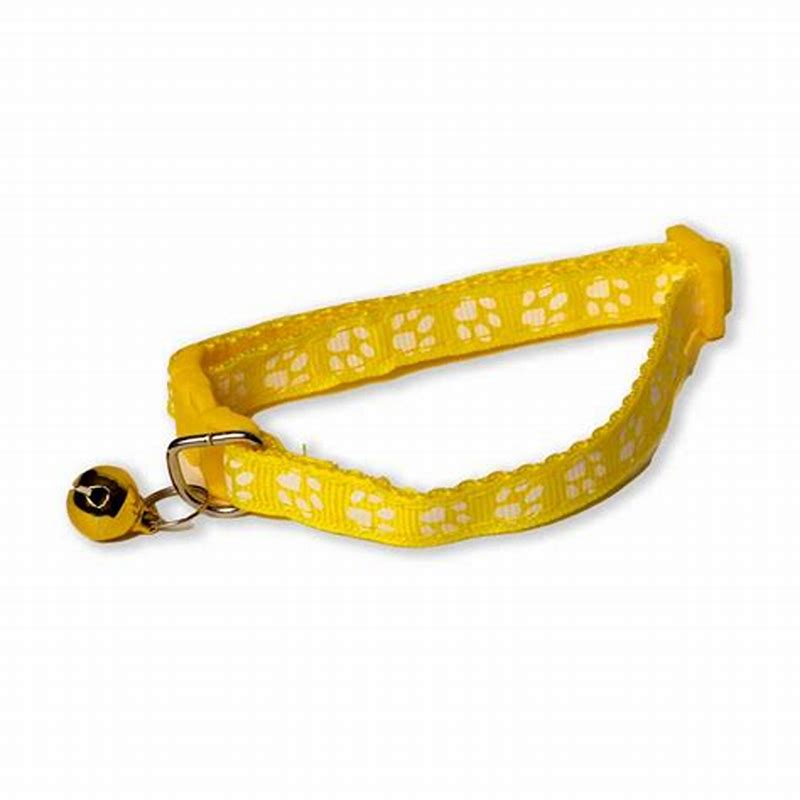 Zgarda Simili Summer Galbena 12mmx20cm - vedere frontală