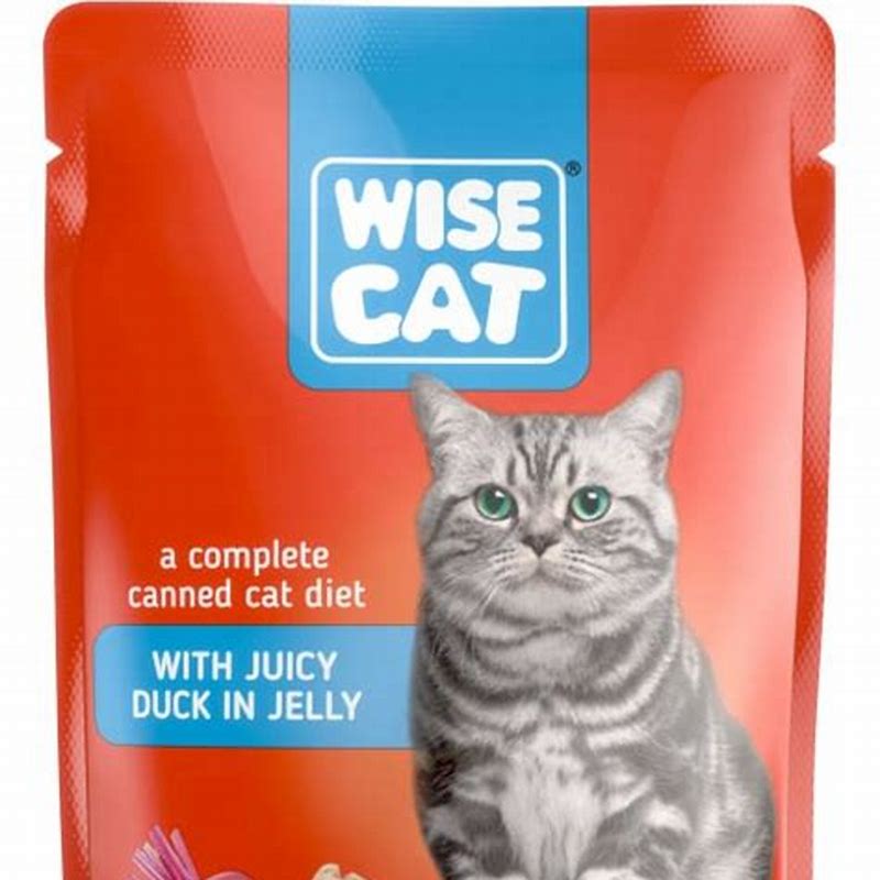 WISE CAT hrana umeda pentru pisici rata in jeleu 100 g - imagine produs