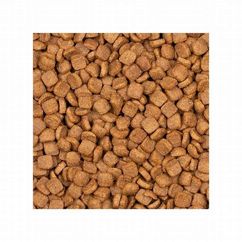 Nutricione hrana uscata pentru pisici cu somon 2 kg - imagine produs