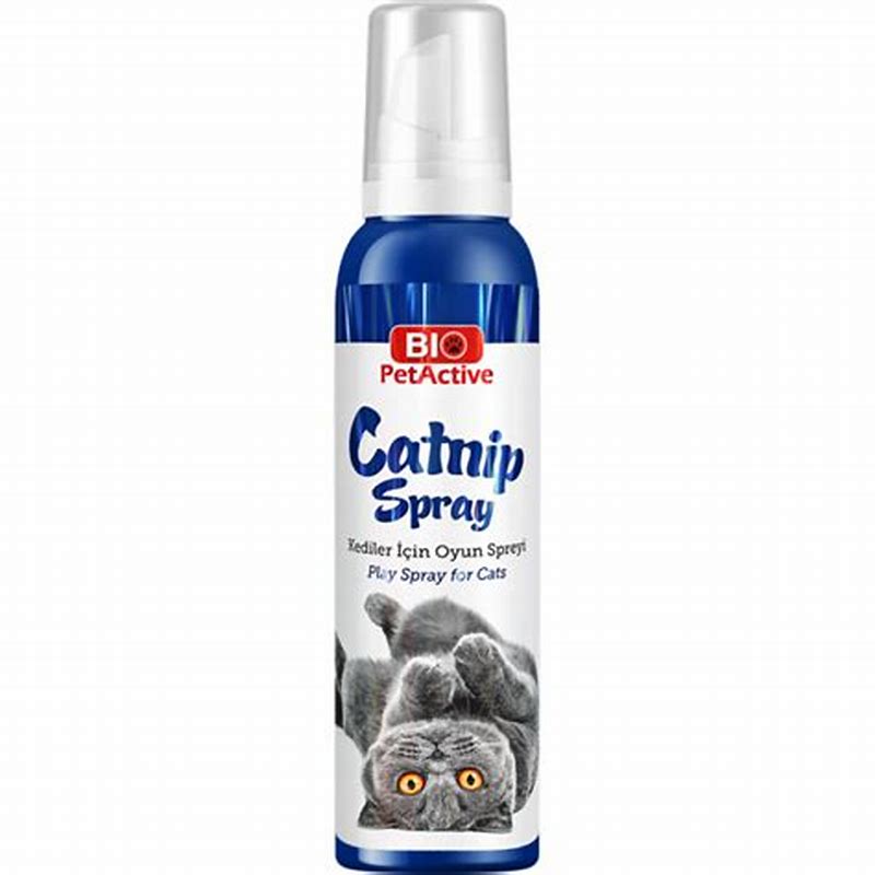 Bio PetActive Catnip Spray 100 Ml - imagine produs