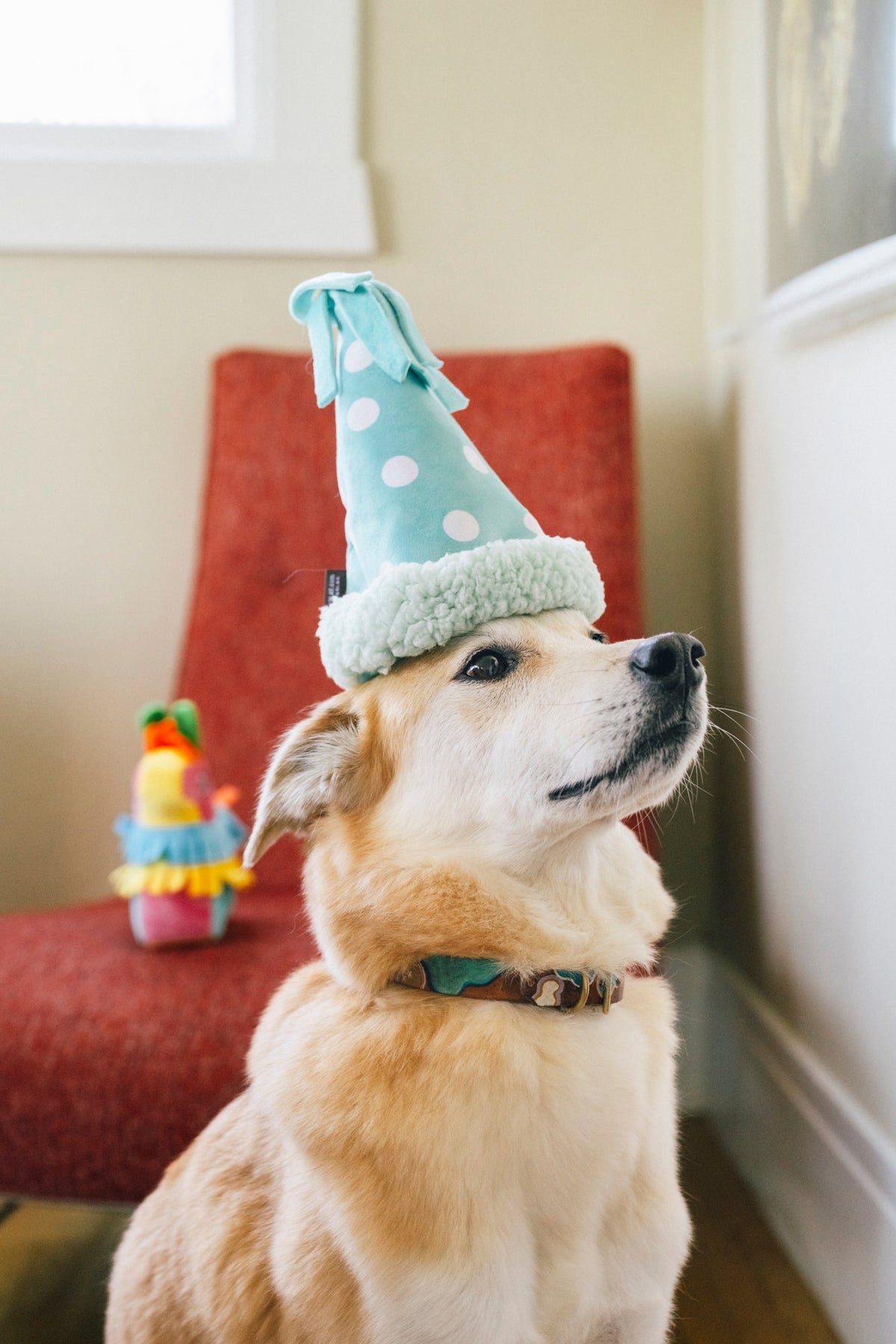 PLAY Jucarie party hat