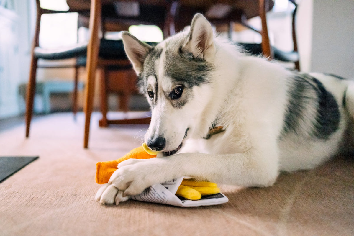 PLAY Chippy Chews