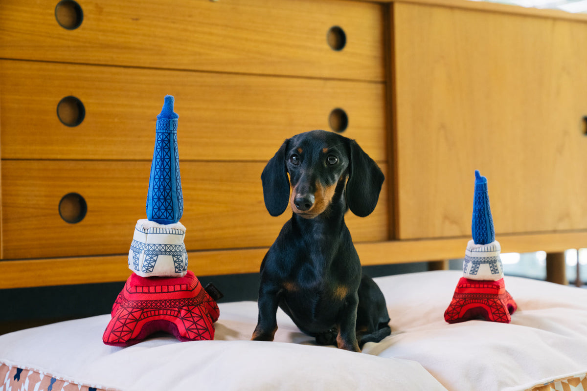 PLAY JUCARIE Totally Touristy_Paris_Eiffel Tower_S