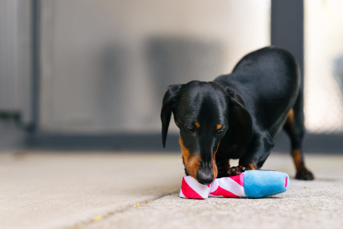 Jucarie PLAY Party time Woof party horn mini